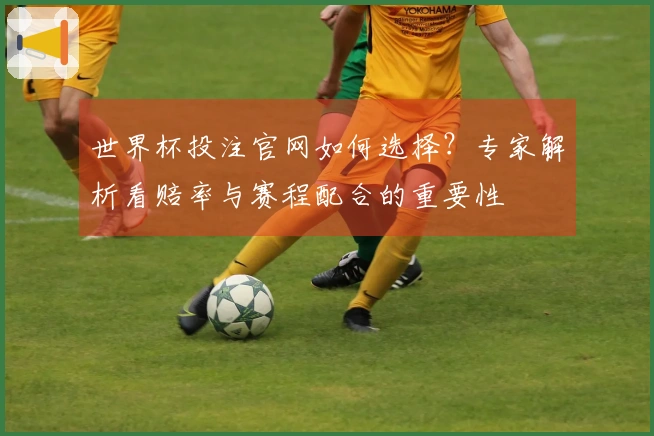 世界杯投注官网如何选择？专家解析看赔率与赛程配合的重要性