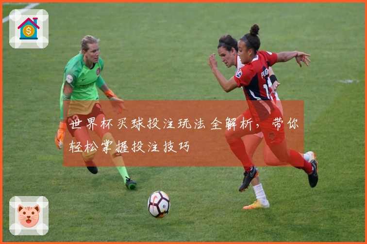世界杯买球投注玩法全解析，带你轻松掌握投注技巧