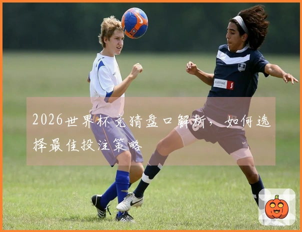 2026世界杯竞猜盘口解析，如何选择最佳投注策略