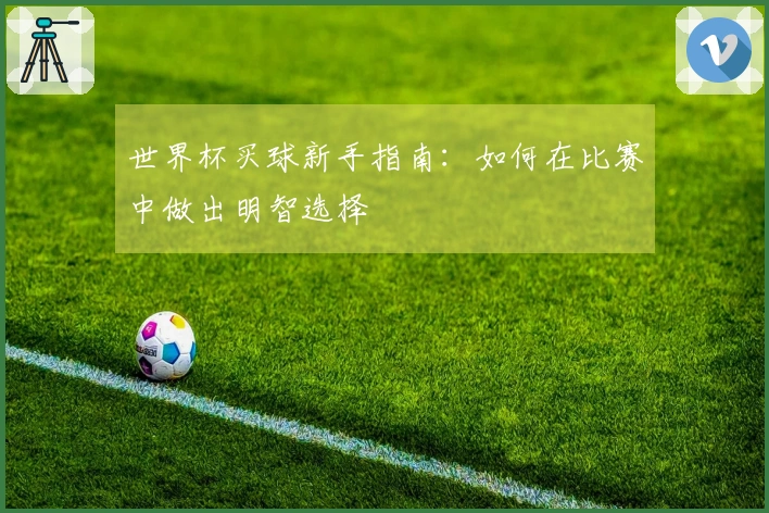 世界杯买球新手指南：如何在比赛中做出明智选择