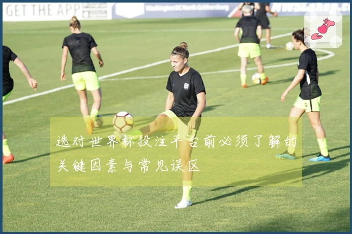 选对世界杯投注平台前必须了解的关键因素与常见误区