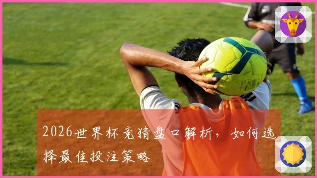 2026世界杯竞猜盘口解析，如何选择最佳投注策略